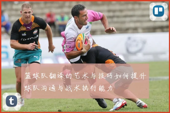 篮球队翻译的艺术与技巧如何提升球队沟通与战术执行能力
