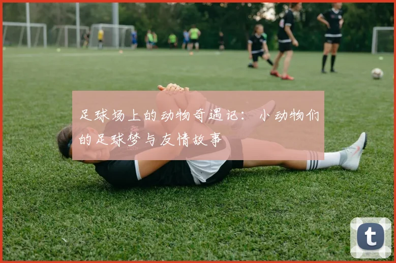 足球场上的动物奇遇记：小动物们的足球梦与友情故事