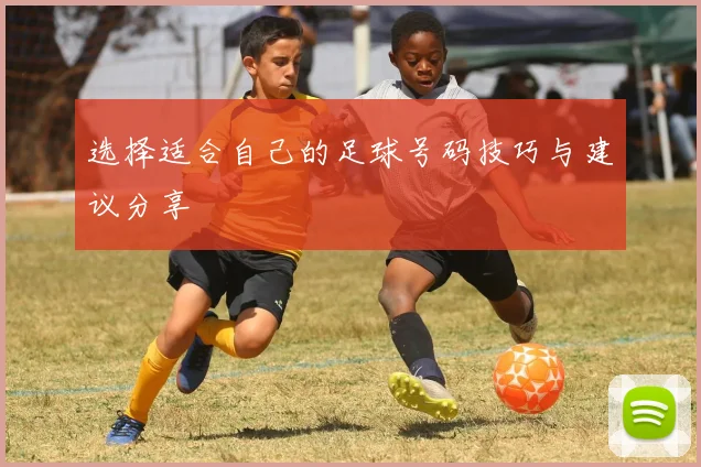 选择适合自己的足球号码技巧与建议分享