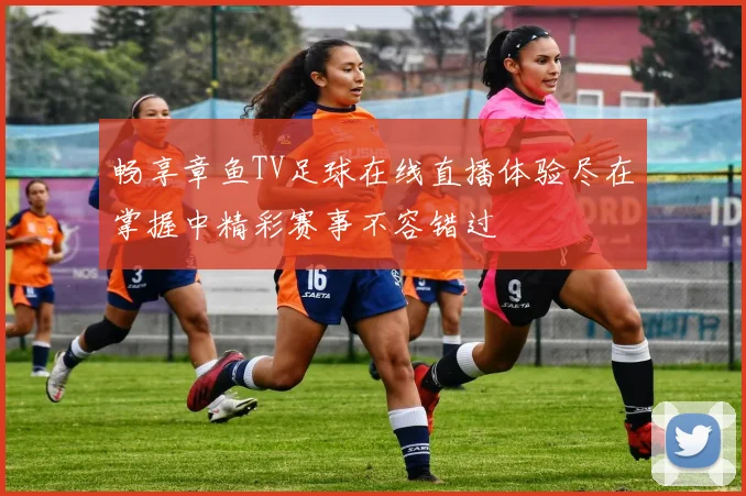 畅享章鱼TV足球在线直播体验尽在掌握中精彩赛事不容错过