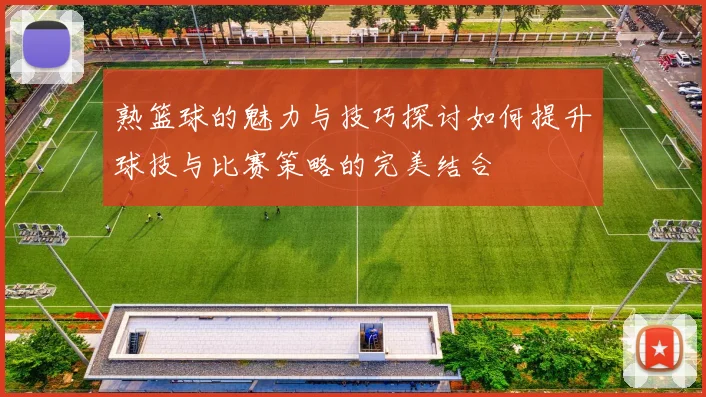 熟篮球的魅力与技巧探讨如何提升球技与比赛策略的完美结合